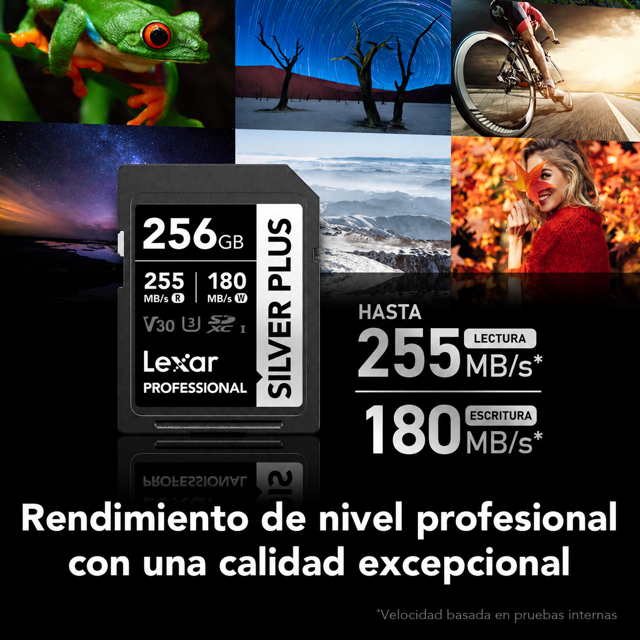 Tarjeta de memoria Lexar Professional SILVER PLUS SDXC V30 MEGA-IMPORT Argentina